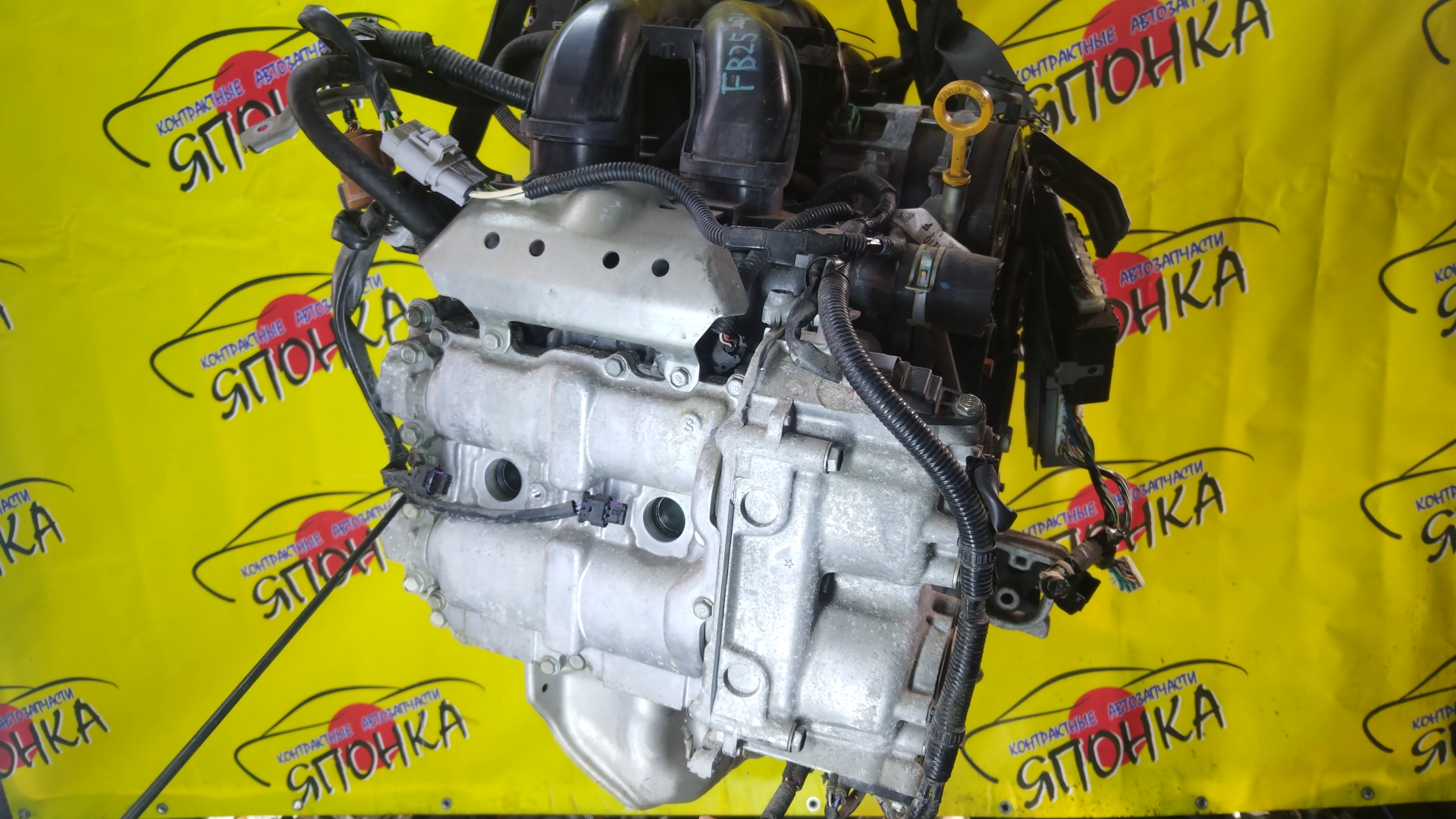 ДВС/SUB/FB25A/EXIGA/FORESTER/IMPREZA/LEGACY/OUTBACK/BMM/BN9/BRM/BS9/SHM/YAM