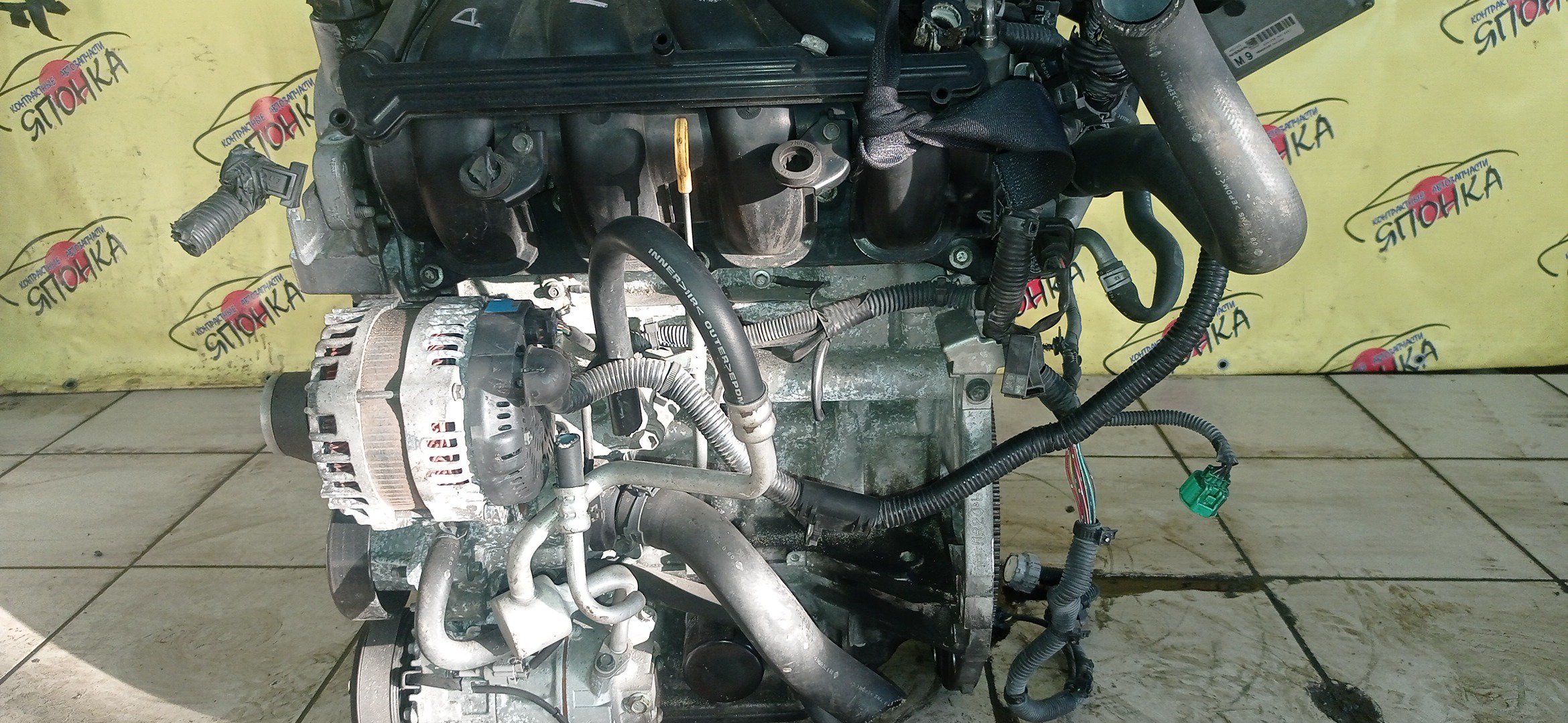 ДВС/NIS/MR20DE/SUZUKI/BLUEBIRD SYLPHY/DUALIS/LAFESTA/LANDY/QASHQAI2/SERENA/X-TRAIL/B30/C25/CC25/J10/J10E/JJ10E/KG11/KJ10/SC25/T31/NT31/2WD/10102EW0A0/10102EN0AB/10102EN0RB/10102EN1R0/101021GKAA