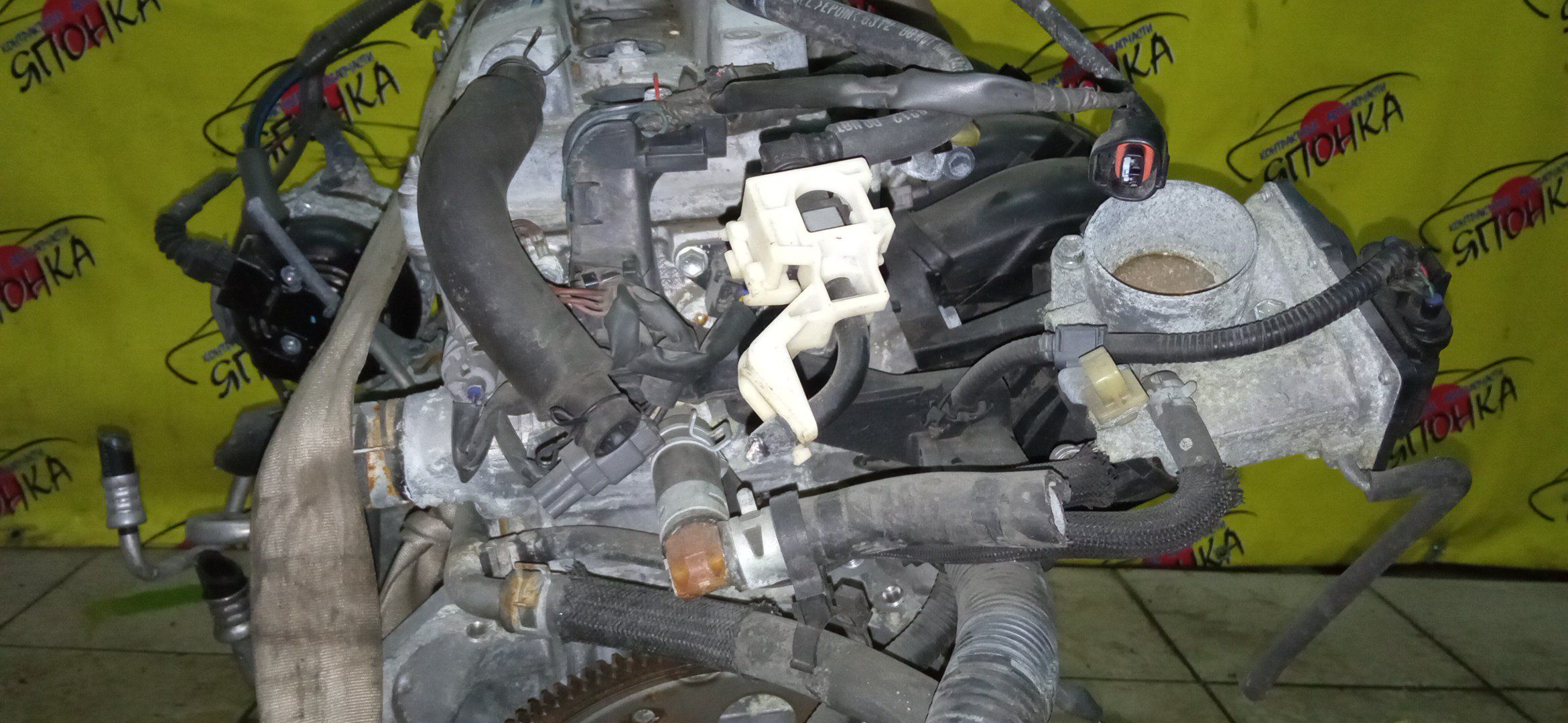 ДВС/TOY/2AZ-FE/DAIHATSU/ALPHARD/ALTIS/BLADE/CAMRY/ESTIMA/HARRIER/HIGHLANDER/KLUGER V/MARK X ZIO/RAV4/SOLARA/PREVIA/VELLFIRE/IPSUM/ACA20/ACA20W/ACA21/ACA21W/ACA23/ACA26/ACA28/ACA31W/ACA33/ACA36W/ACA38/ACR30W/ACR40W/ACR50W/ACR55W/ACU10W/ACU15W/ACU20/ACU20W/ACU25W/ACU30W/ACU35W/ACV30/ACV30N/ACV35/ACV35N/ACV45/ACV40N/ACV40/ACV45N/ANA10/ANA15/ANH10W/ANH15W/ANH20W/ANH25W/AZE154H/AZE156H/ACA31/ACM21W/ACM26W/ЭЛЕКТРО ДРОСЕЛЬ/1900028350/1900028120/1900028D10/190000H330