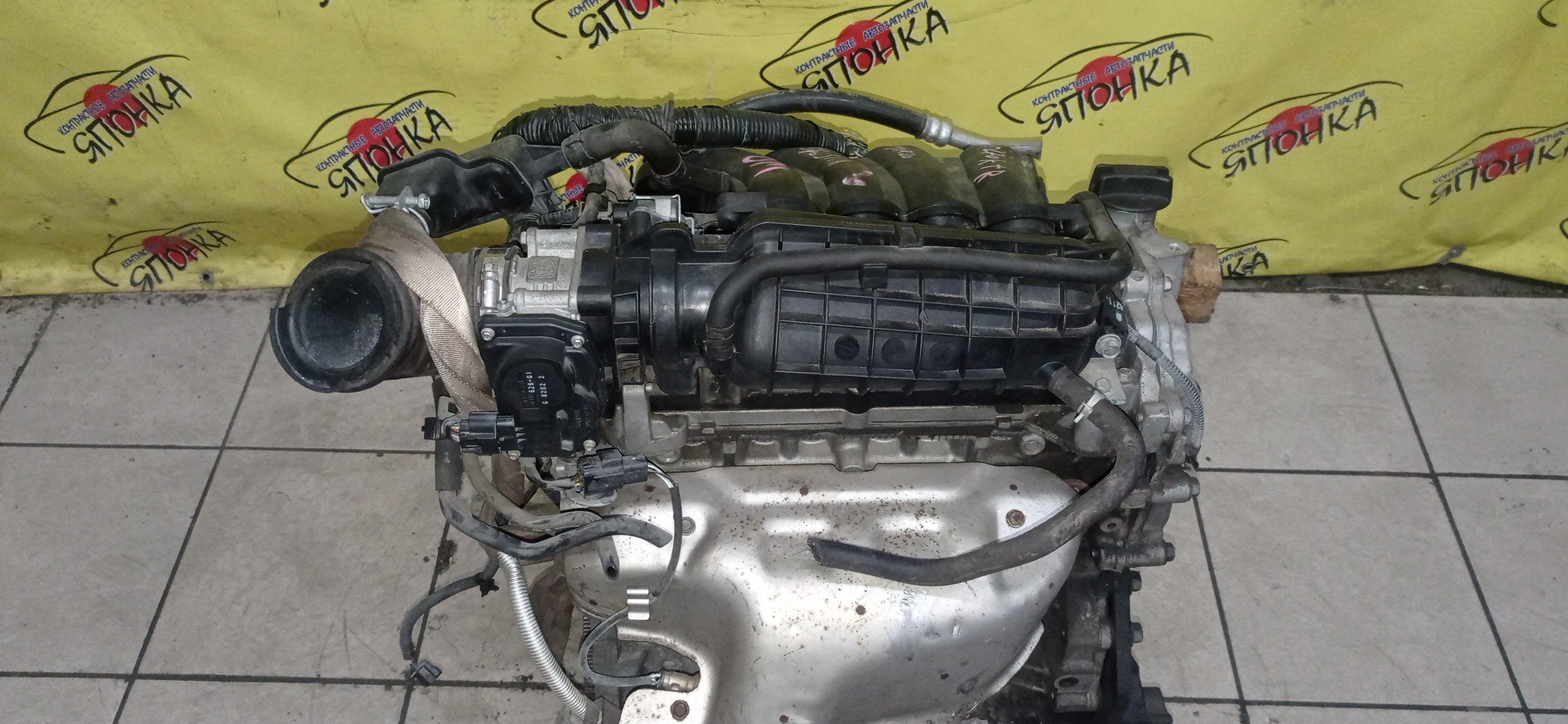 ДВС/NIS/MR20DE/SUZUKI/BLUEBIRD SYLPHY/DUALIS/LAFESTA/LANDY/QASHQAI2/SERENA/X-TRAIL/B30/C25/CC25/J10/J10E/JJ10E/KG11/KJ10/SC25/T31/NT31/2WD/10102EW0A0/10102EN0AB/10102EN0RB/10102EN1R0/101021GKAA