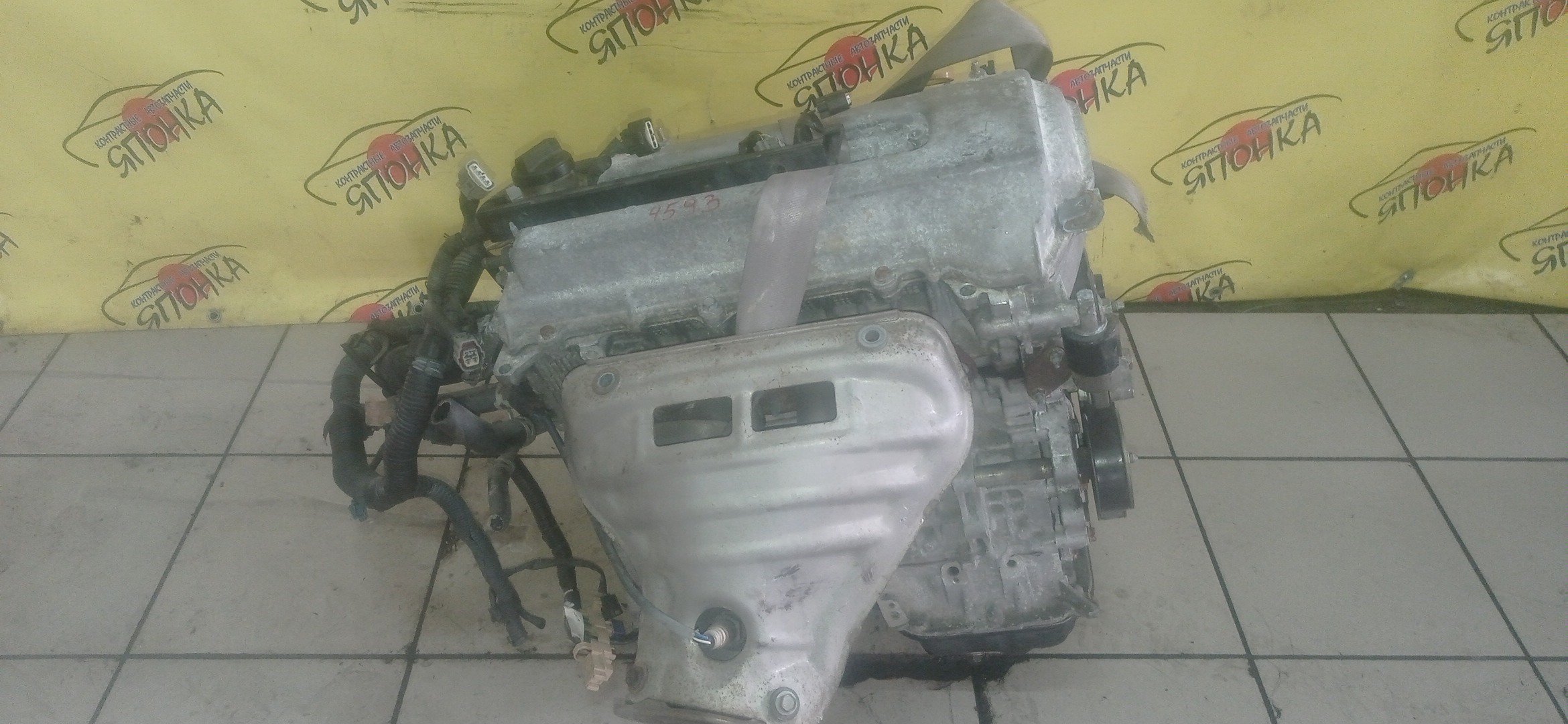 ДВС/TOY/1ZZ/COROLLA/CELICA/CALDINA/RAV4/VISTA/AVENSIS/WILL VS/SPACIO/WISH/OPA/PREMIO/ALLION/COROLLA VERSO/ALLEX/FIELDER/ISIS/RUNX/VISTA ARDEO/MR-S/VOLTZ/ZCA25W/ZCA26W/ZCT10/ZCT15/ZNE10G/ZNE14G/ZNM10G/ZNM10W/ZNR11/ZZE122/ZZE122G/ZZE122N/ZZE124/ZZE124G/ZZE124N/ZZE127/ZZE129/ZZE136/ZZE138/ZZT221/ZZT230/ZZT240/ZZT241W/ZZT245/ZZT251/ZZV50/ZZV50G/ZZW30/МЕХАНИЧЕСКАЯ ЗАСЛОНКА/ВПУСК ПЛАСТИКОВЫЙ/1900022080/1900022081
