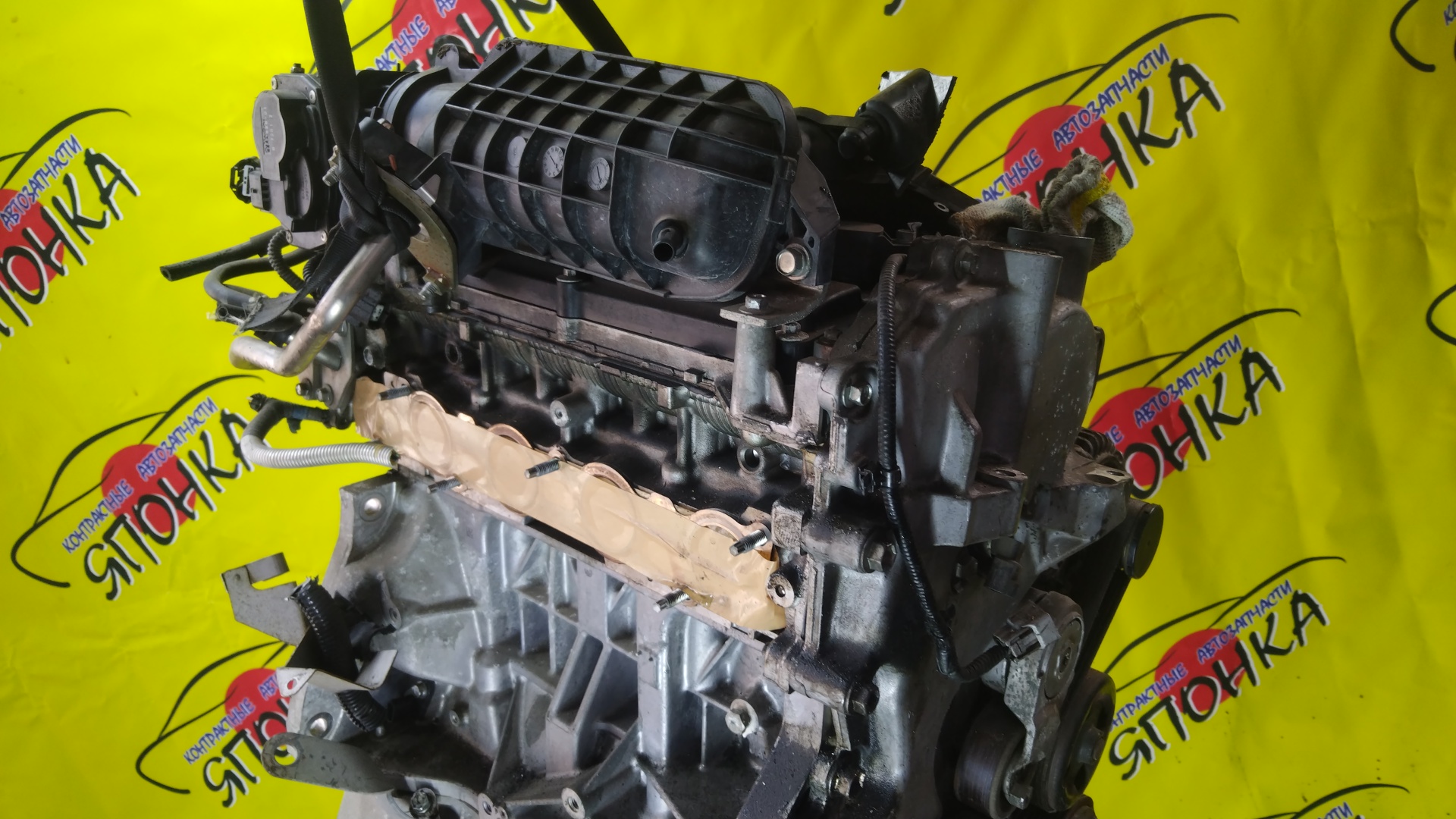 ДВС/NIS/MR20DE/SUZUKI/BLUEBIRD SYLPHY/DUALIS/LAFESTA/LANDY/QASHQAI2/SERENA/X-TRAIL/B30/C25/CC25/J10/J10E/JJ10E/KG11/KJ10/SC25/T31/NT31/2WD/10102EW0A0/10102EN0AB/10102EN0RB/10102EN1R0/101021GKAA