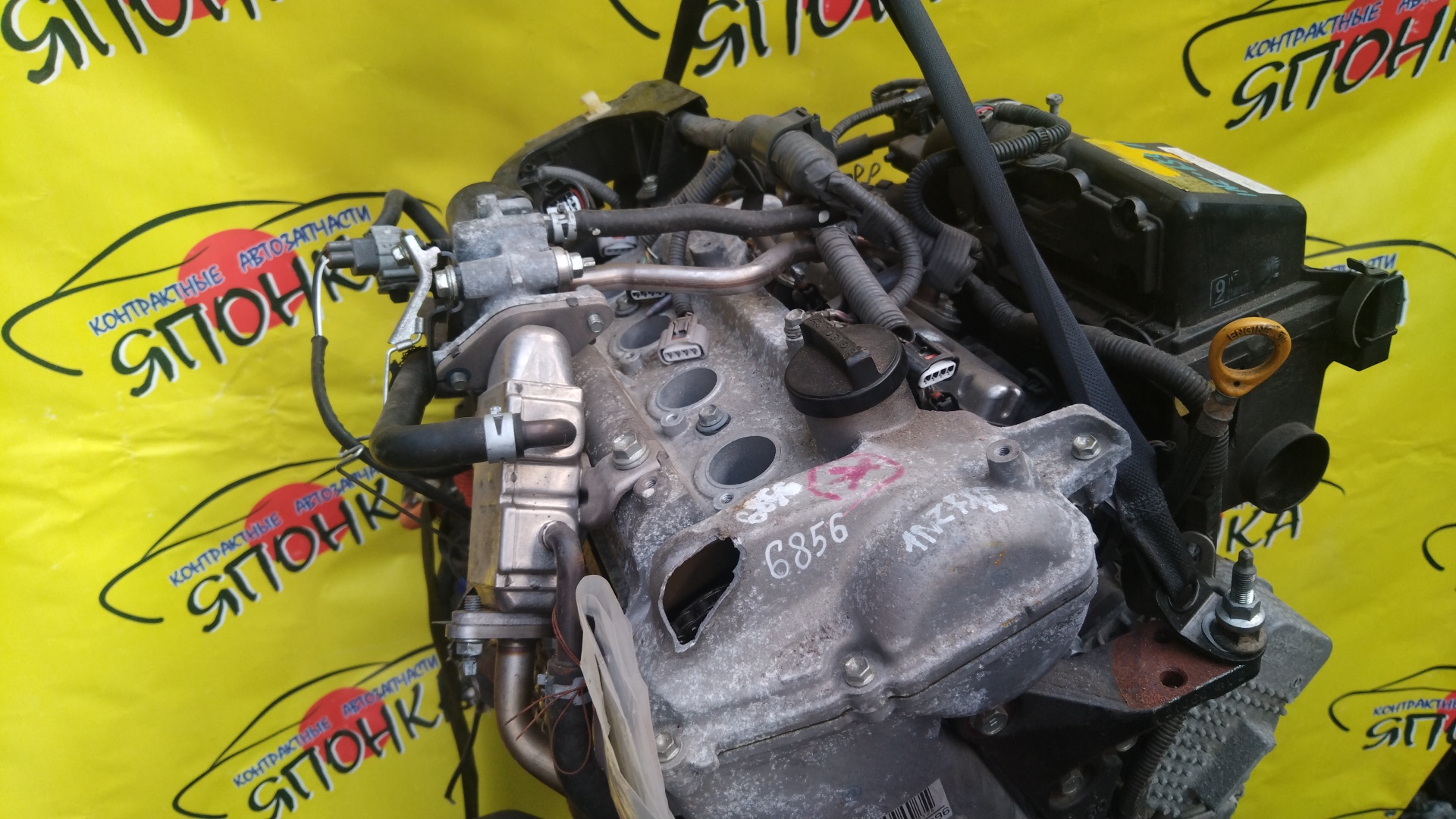 ДВС/TOY/1NZ-FXE/AQUA/PRIUS C/NHP10/1900021D82