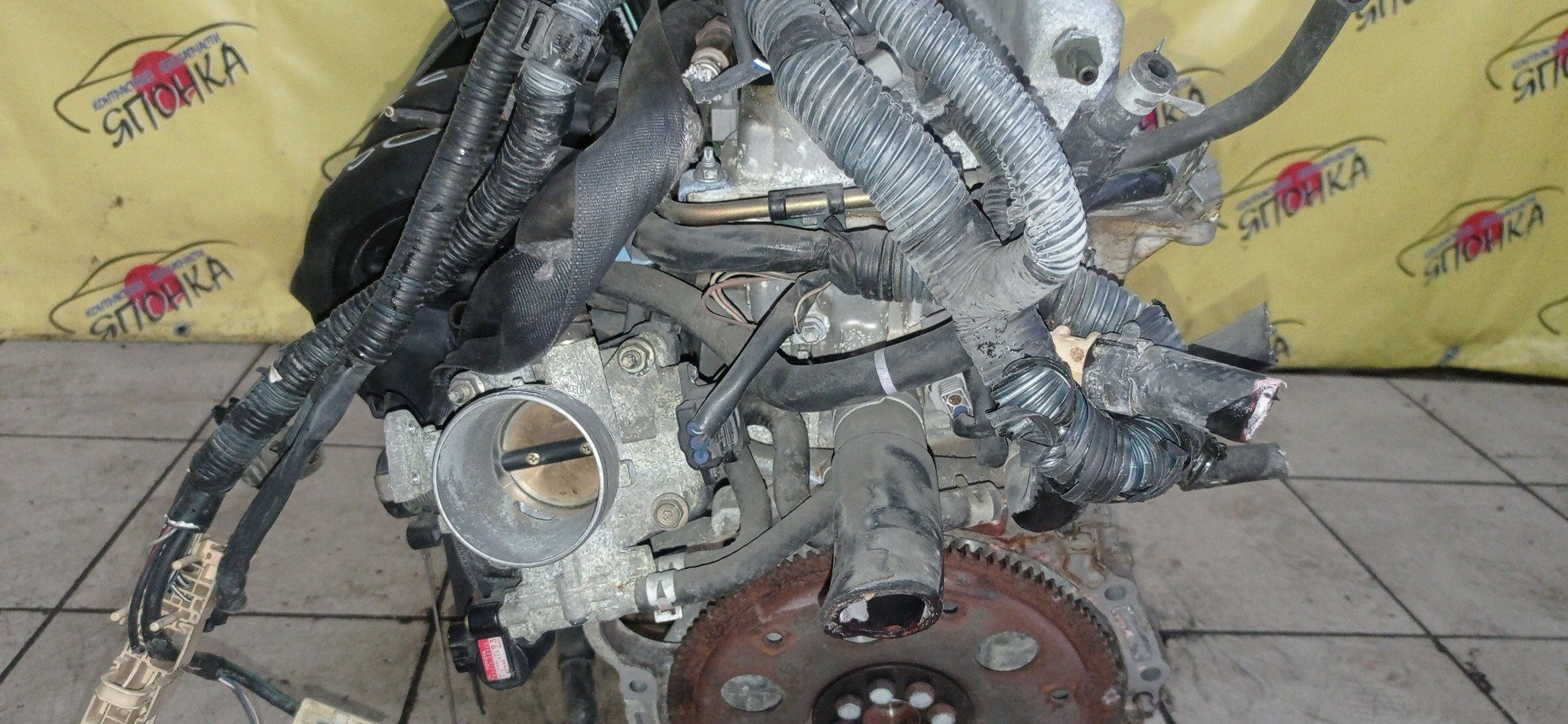 ДВС/TOY/1ZZ/COROLLA/CELICA/CALDINA/RAV4/VISTA/AVENSIS/WILL VS/SPACIO/WISH/OPA/PREMIO/ALLION/COROLLA VERSO/ALLEX/FIELDER/ISIS/RUNX/VISTA ARDEO/MR-S/VOLTZ/ZCA25W/ZCA26W/ZCT10/ZCT15/ZNE10G/ZNE14G/ZNM10G/ZNM10W/ZNR11/ZZE122/ZZE122G/ZZE122N/ZZE124/ZZE124G/ZZE124N/ZZE127/ZZE129/ZZE136/ZZE138/ZZT221/ZZT230/ZZT240/ZZT241W/ZZT245/ZZT251/ZZV50/ZZV50G/ZZW30/МЕХАНИЧЕСКАЯ ЗАСЛОНКА/ВПУСК ПЛАСТИКОВЫЙ/1900022080/1900022081