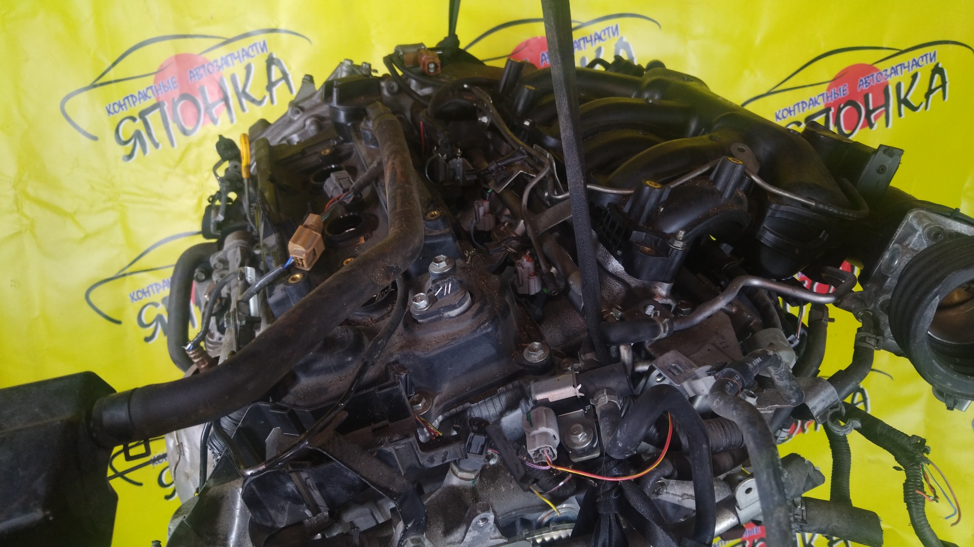 ДВС/NIS/VQ25-DE/TEANA/J32/ПОПЕРЕЧНЫЙ/10102JN0A1/10102JN0R0/10103JN0A0