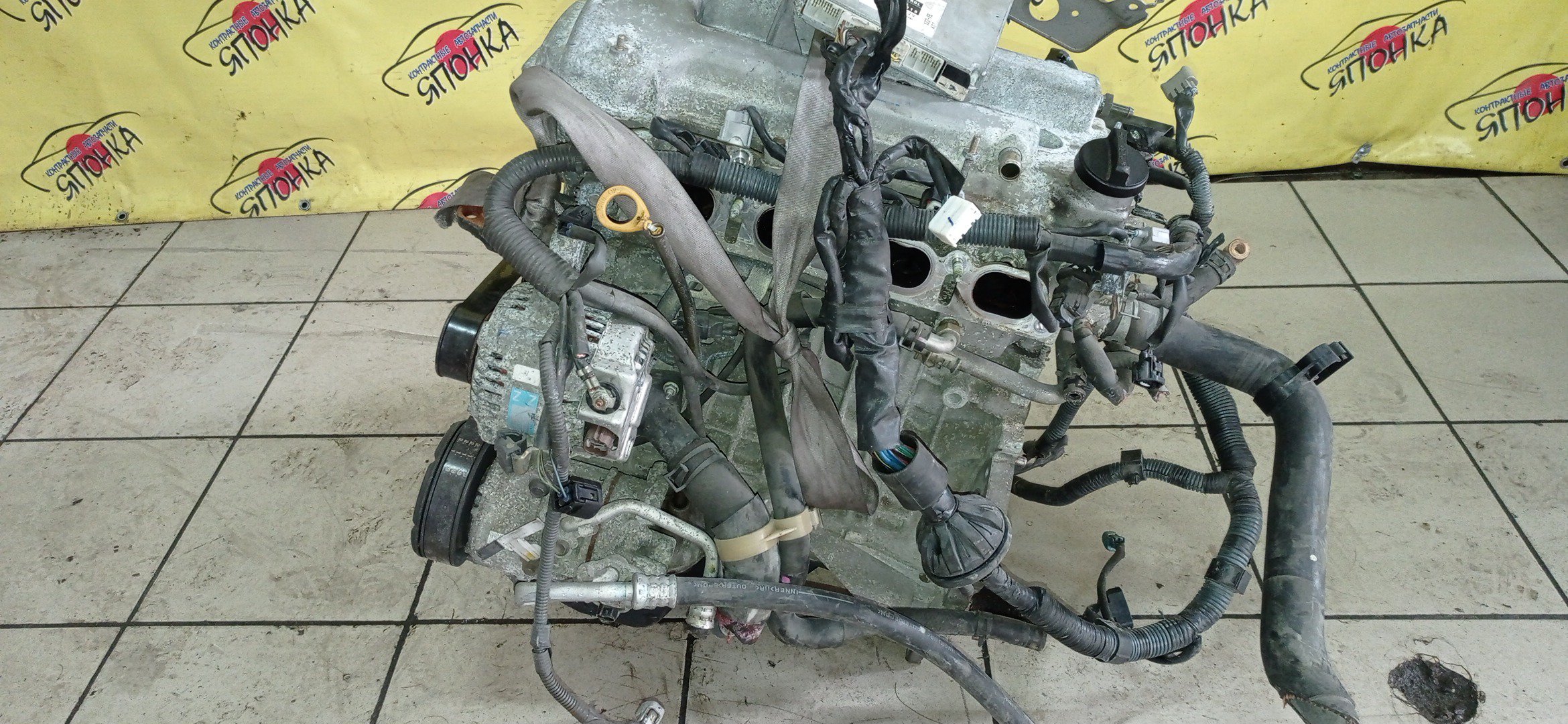 ДВС/TOY/1ZZ/COROLLA/CELICA/CALDINA/RAV4/VISTA/AVENSIS/WILL VS/SPACIO/WISH/OPA/PREMIO/ALLION/COROLLA VERSO/ALLEX/FIELDER/ISIS/RUNX/VISTA ARDEO/MR-S/VOLTZ/ZCA25W/ZCA26W/ZCT10/ZCT15/ZNE10G/ZNE14G/ZNM10G/ZNM10W/ZNR11/ZZE122/ZZE122G/ZZE122N/ZZE124/ZZE124G/ZZE124N/ZZE127/ZZE129/ZZE136/ZZE138/ZZT221/ZZT230/ZZT240/ZZT241W/ZZT245/ZZT251/ZZV50/ZZV50G/ZZW30/МЕХАНИЧЕСКАЯ ЗАСЛОНКА/ВПУСК ПЛАСТИКОВЫЙ/1900022080/1900022081