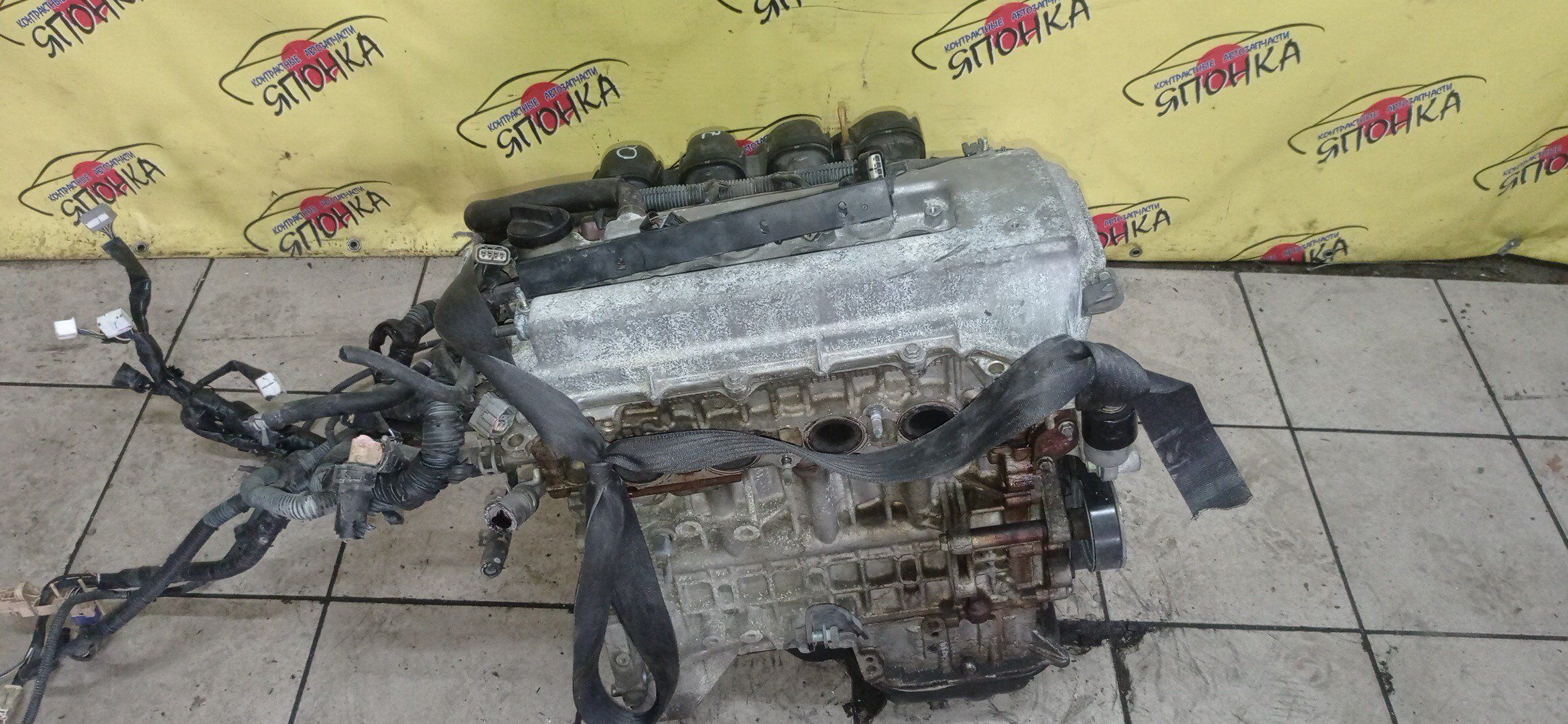 ДВС/TOY/1ZZ/COROLLA/CELICA/CALDINA/RAV4/VISTA/AVENSIS/WILL VS/SPACIO/WISH/OPA/PREMIO/ALLION/COROLLA VERSO/ALLEX/FIELDER/ISIS/RUNX/VISTA ARDEO/MR-S/VOLTZ/ZCA25W/ZCA26W/ZCT10/ZCT15/ZNE10G/ZNE14G/ZNM10G/ZNM10W/ZNR11/ZZE122/ZZE122G/ZZE122N/ZZE124/ZZE124G/ZZE124N/ZZE127/ZZE129/ZZE136/ZZE138/ZZT221/ZZT230/ZZT240/ZZT241W/ZZT245/ZZT251/ZZV50/ZZV50G/ZZW30/МЕХАНИЧЕСКАЯ ЗАСЛОНКА/ВПУСК ПЛАСТИКОВЫЙ/1900022080/1900022081