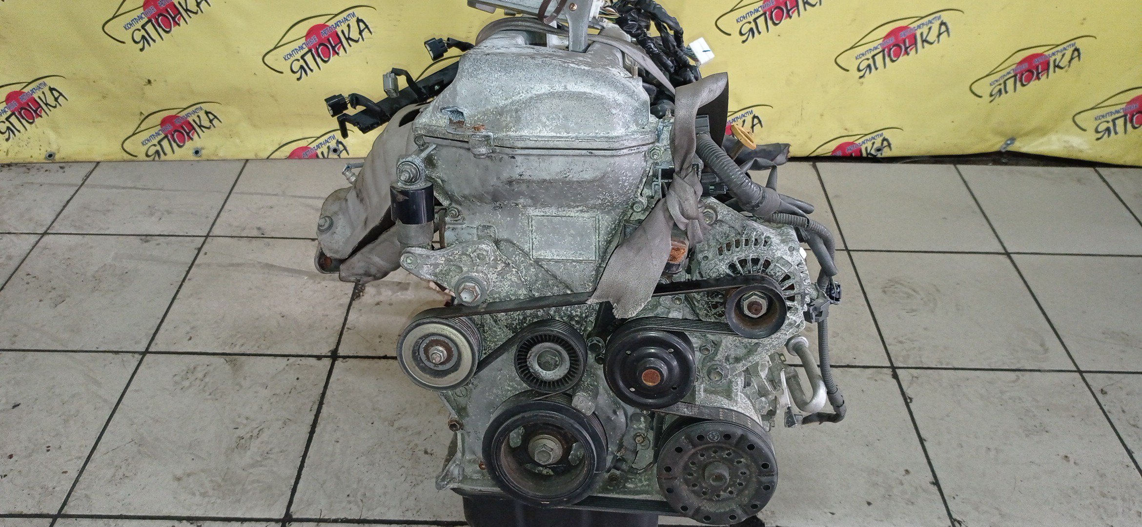 ДВС/TOY/1ZZ/COROLLA/CELICA/CALDINA/RAV4/VISTA/AVENSIS/WILL VS/SPACIO/WISH/OPA/PREMIO/ALLION/COROLLA VERSO/ALLEX/FIELDER/ISIS/RUNX/VISTA ARDEO/MR-S/VOLTZ/ZCA25W/ZCA26W/ZCT10/ZCT15/ZNE10G/ZNE14G/ZNM10G/ZNM10W/ZNR11/ZZE122/ZZE122G/ZZE122N/ZZE124/ZZE124G/ZZE124N/ZZE127/ZZE129/ZZE136/ZZE138/ZZT221/ZZT230/ZZT240/ZZT241W/ZZT245/ZZT251/ZZV50/ZZV50G/ZZW30/МЕХАНИЧЕСКАЯ ЗАСЛОНКА/ВПУСК ПЛАСТИКОВЫЙ/1900022080/1900022081
