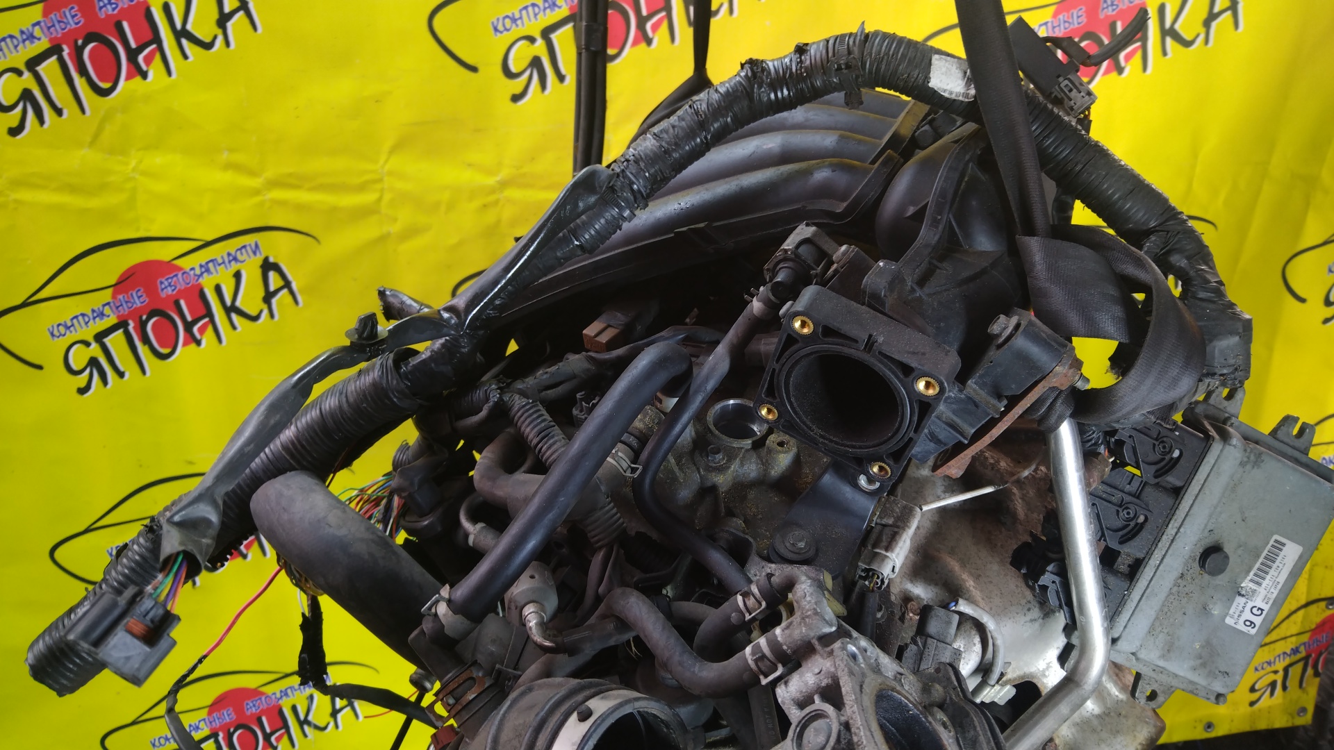 ДВС/NIS/HR15/MAZDA/AD/BLUEBIRD SYLPHY/CUBE/CUBE CUBIC/FAMILIA VAN/MARCH/NOTE/TIIDA/TIIDA LATIO/WINGROAD/BVY12/C11/E11/G11/SC11/VY12/Y12/YGZ11/YK12/YZ11/Z12