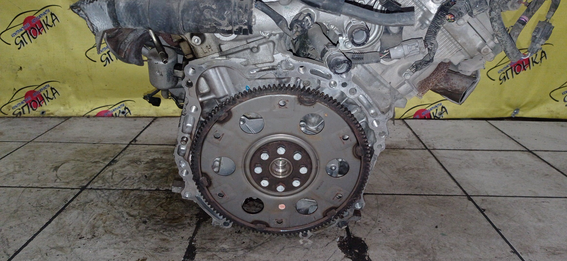 ДВС/TOY/2GR-FE/LEXUS/ALPHARD/AVALON/BLADE/CAMRY/ESTIMA/HARRIER/HIGHLANDER/MARK X ZIO/RX350/SIENNA/VELLFIRE/VENZA/GGA10/GGH20W/GGH25W/GGH30W/GGH35W/GGV10/GGV15/GRE156H/GSL20/GSL25/GSL30/GSL35/GSR50W/GSR55W/GSU30/GSU30W/GSU31W/GSU35/GSU35W/GSU36W/GSU40/GSU45/GSU50/GSU55/GSV40/GSV50/GSX30/GSX40/1900031D90/1900031D10/1900031A00