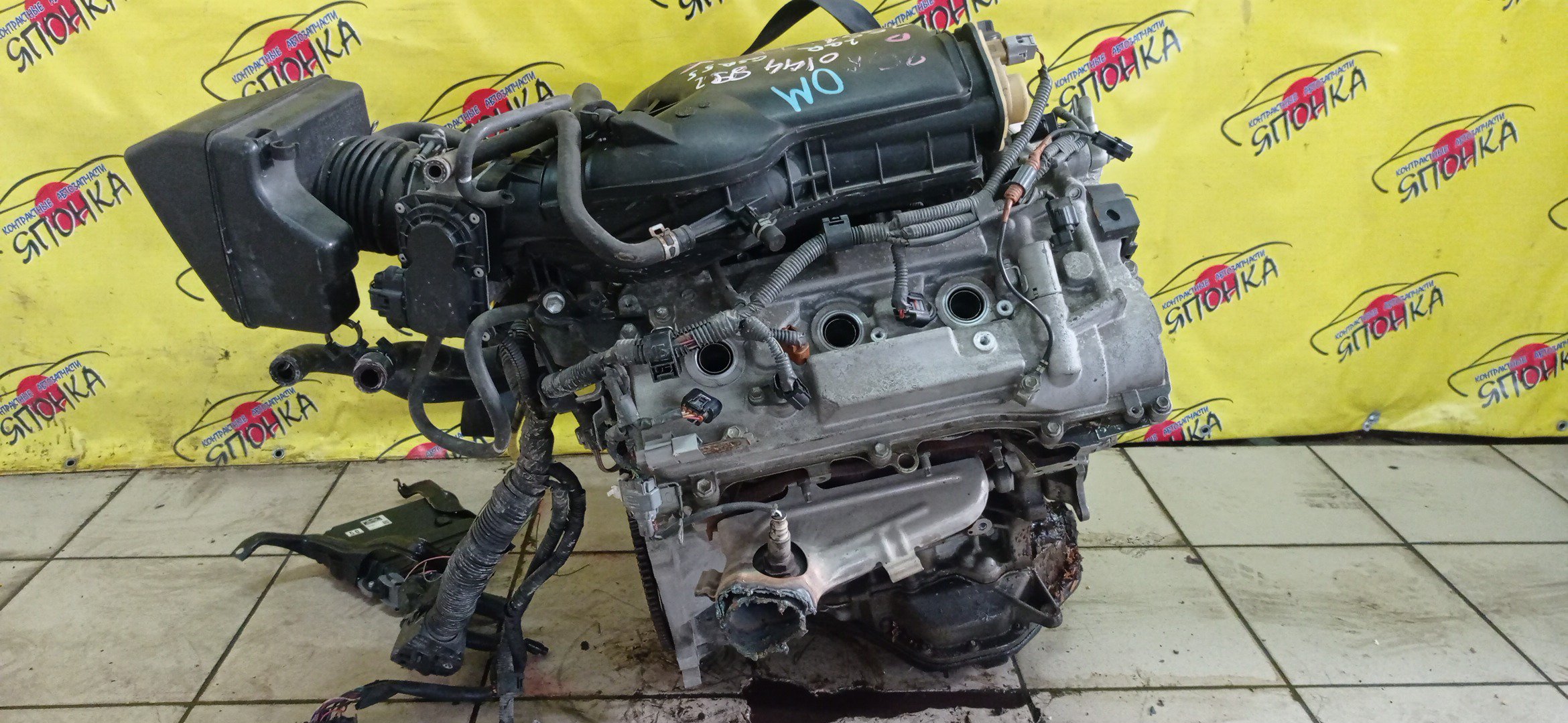 ДВС/TOY/2GR-FE/LEXUS/ALPHARD/AVALON/BLADE/CAMRY/ESTIMA/HARRIER/HIGHLANDER/MARK X ZIO/RX350/SIENNA/VELLFIRE/VENZA/GGA10/GGH20W/GGH25W/GGH30W/GGH35W/GGV10/GGV15/GRE156H/GSL20/GSL25/GSL30/GSL35/GSR50W/GSR55W/GSU30/GSU30W/GSU31W/GSU35/GSU35W/GSU36W/GSU40/GSU45/GSU50/GSU55/GSV40/GSV50/GSX30/GSX40/1900031D90/1900031D10/1900031A00