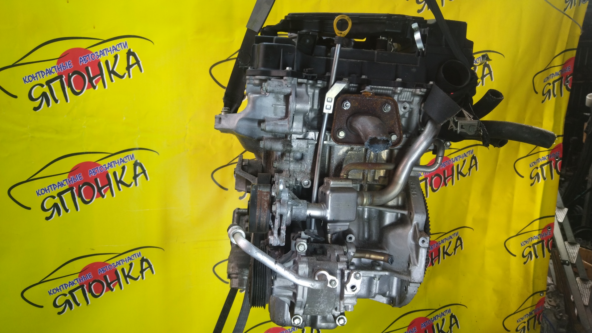 ДВС/TOY/1KR-FE/BOON/PASSO/ROOMY/TANK/M700A/M700S/M710A/M710S/M900A/M910A/NEW/19000B1R51