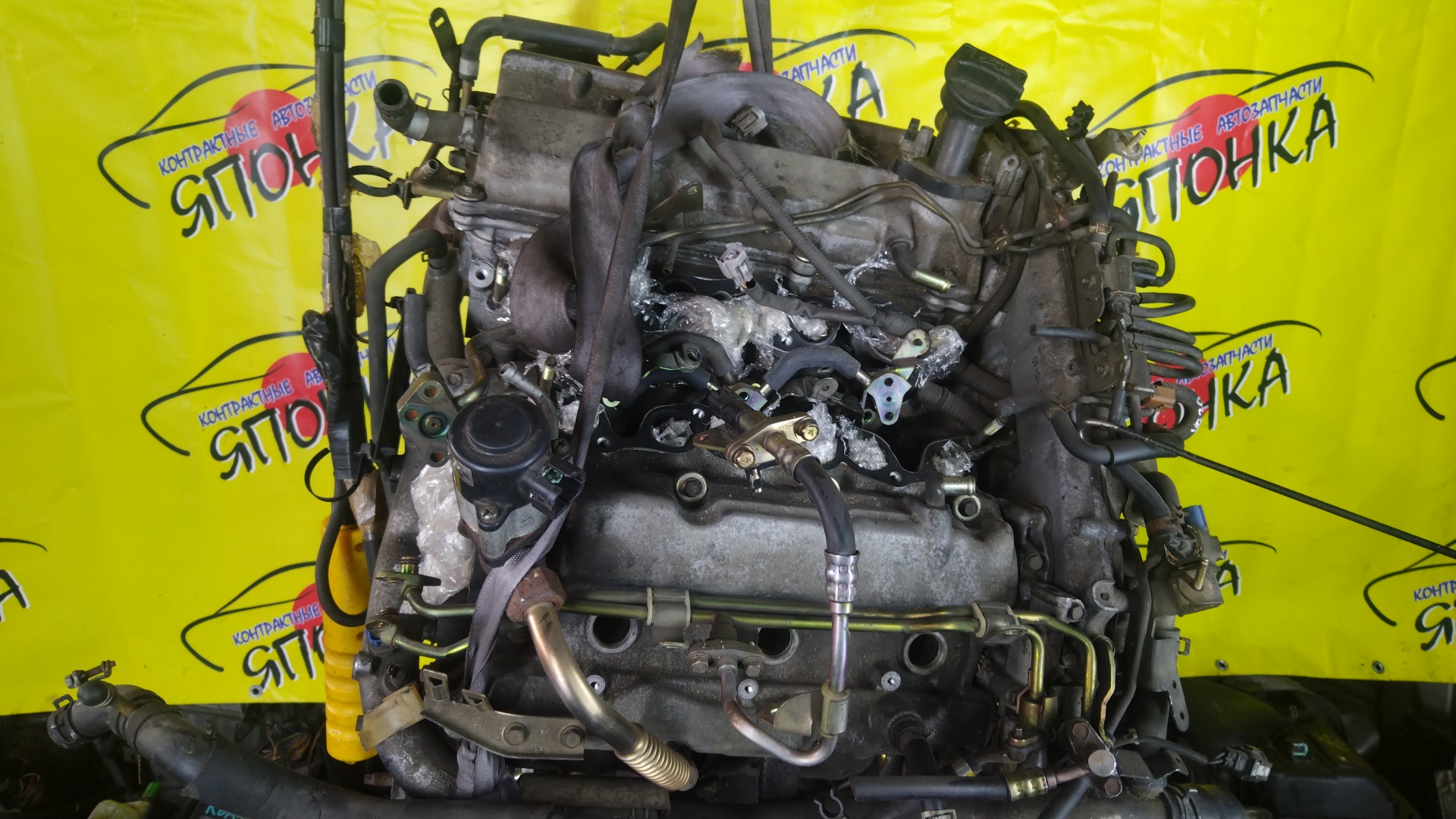 ДВС/NIS/VQ30 DD/CEDRIC/GLORIA/SKYLINE/STAGEA/HM35/HV35/HY34/ПРОДОЛЬНЫЙ/10102AL6R0/10102AL6R6