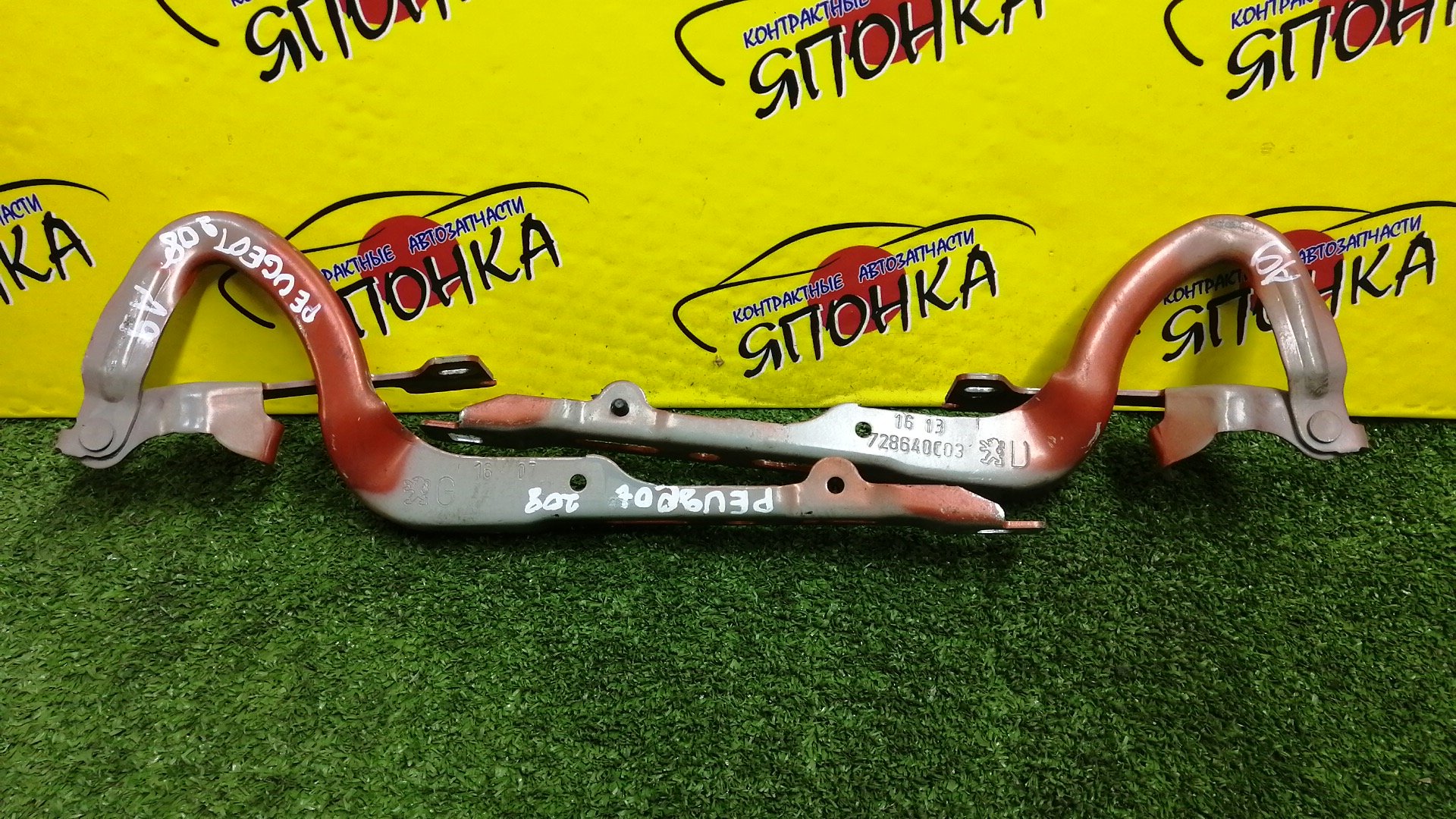 ПЕТЛЯ КАПОТА/PEU/208/A9/КОМПЛЕКТ/9672865480/9672864080