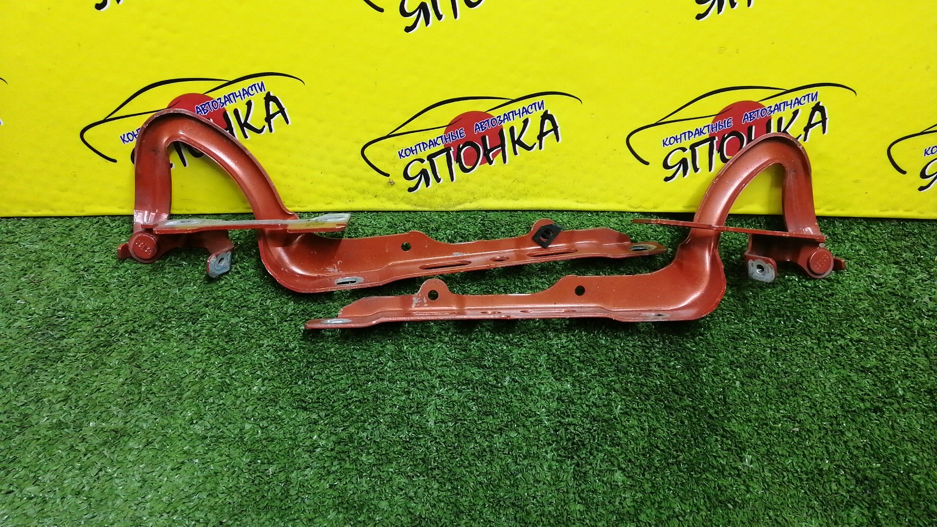 ПЕТЛЯ КАПОТА/PEU/208/A9/КОМПЛЕКТ/9672865480/9672864080