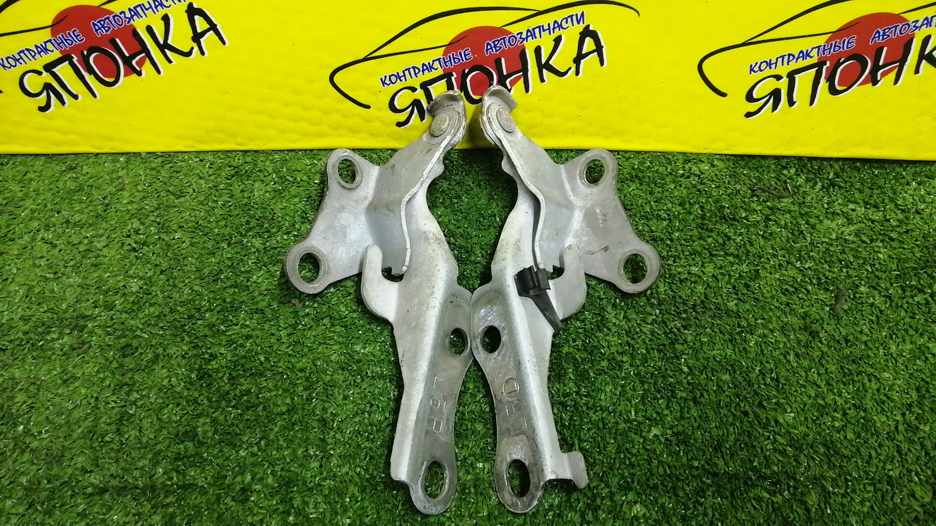 ПЕТЛЯ КАПОТА/TOY/COROLLA II/CORSA/CYNOS/PASEO/PROBOX/STARLET/SUCCEED/TERCEL/EL51/EL52/EL52C/EL53/EL54/EL54C/EL55/EP91/EP95/NCP50V/NCP51V/NCP52V/NCP55V/NCP58G/NCP59G/NL50/NLP51V/NP90/КОМПЛЕКТ/5341016080/5341016100/5342016060/5342016080