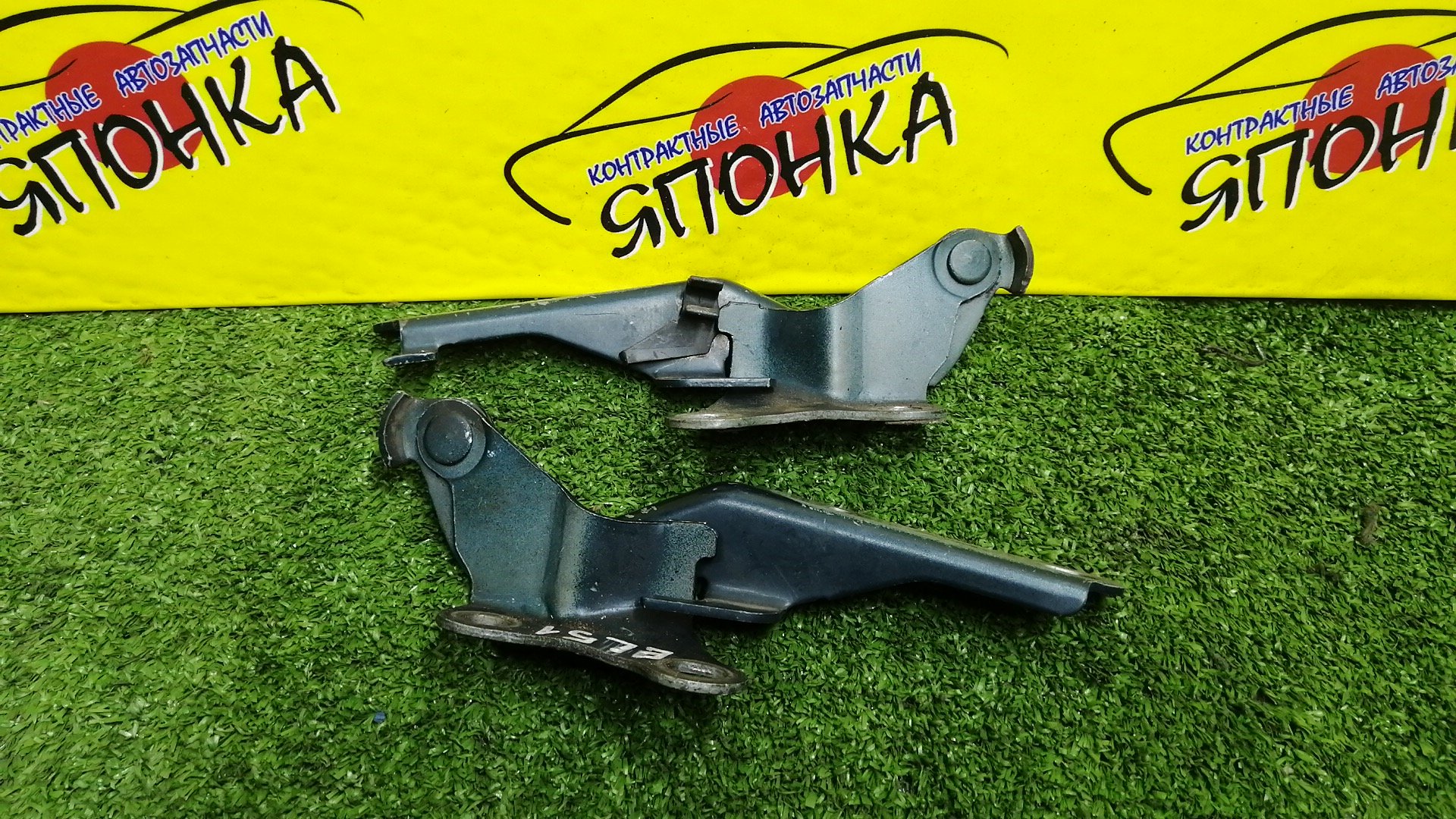 ПЕТЛЯ КАПОТА/TOY/COROLLA II/CORSA/CYNOS/PASEO/PROBOX/STARLET/SUCCEED/TERCEL/EL51/EL52/EL52C/EL53/EL54/EL54C/EL55/EP91/EP95/NCP50V/NCP51V/NCP52V/NCP55V/NCP58G/NCP59G/NL50/NLP51V/NP90/КОМПЛЕКТ/5341016080/5341016100/5342016060/5342016080