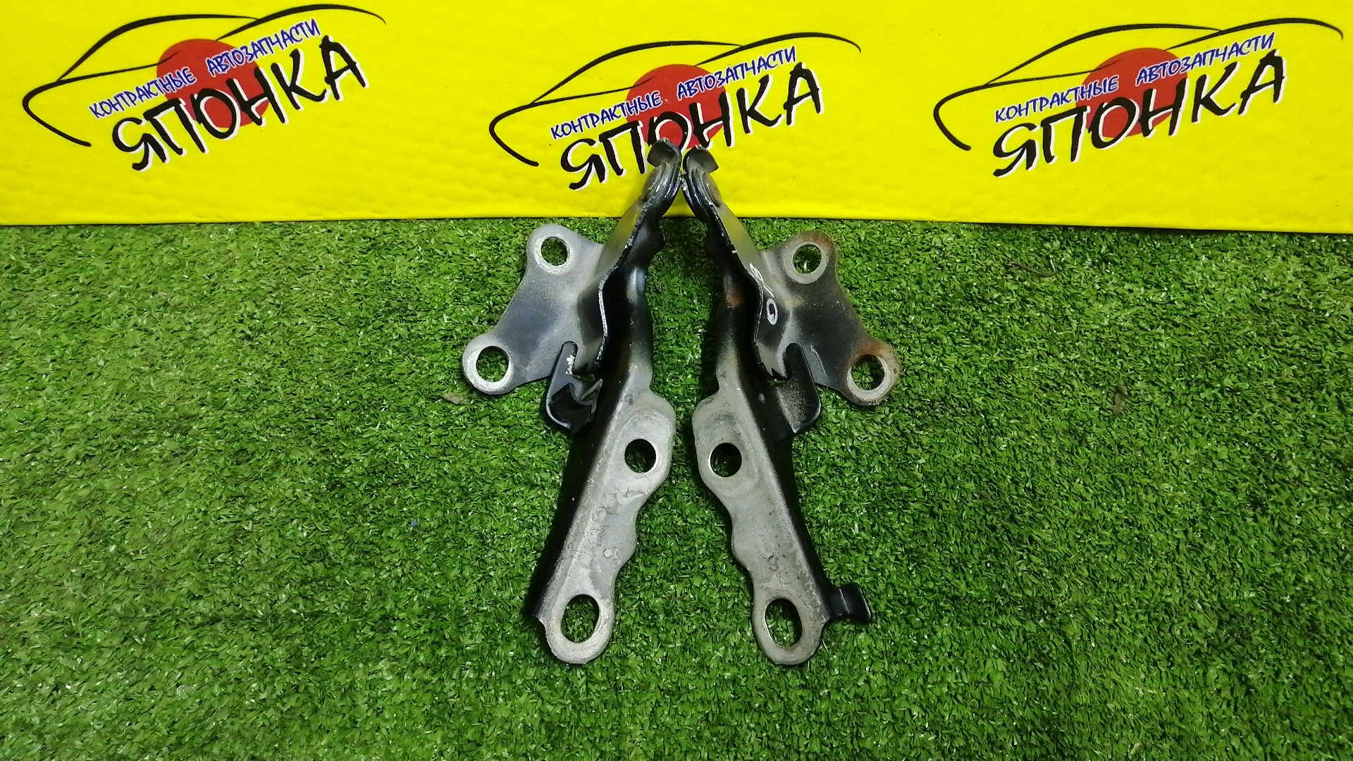 ПЕТЛЯ КАПОТА/TOY/COROLLA II/CORSA/CYNOS/PASEO/PROBOX/STARLET/SUCCEED/TERCEL/EL51/EL52/EL52C/EL53/EL54/EL54C/EL55/EP91/EP95/NCP50V/NCP51V/NCP52V/NCP55V/NCP58G/NCP59G/NL50/NLP51V/NP90/КОМПЛЕКТ/5341016080/5341016100/5342016060/5342016080