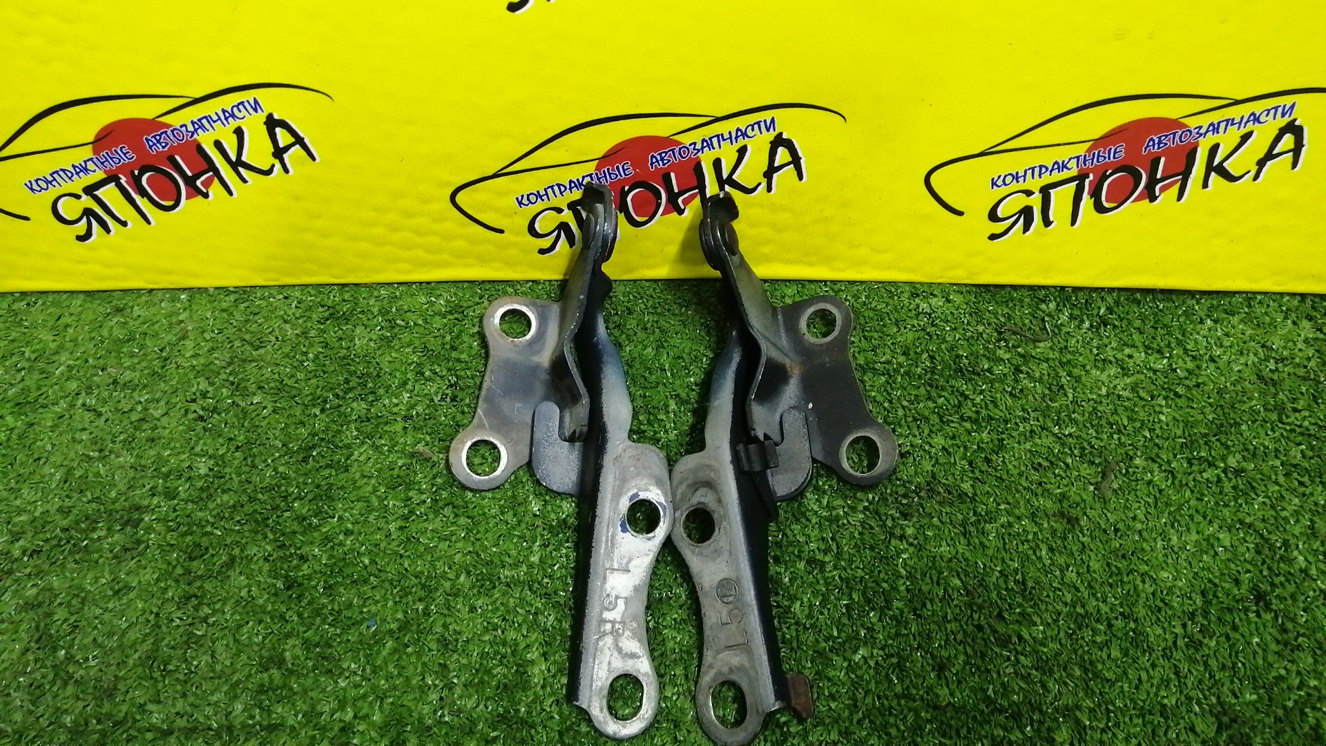 ПЕТЛЯ КАПОТА/TOY/COROLLA II/CORSA/CYNOS/PASEO/PROBOX/STARLET/SUCCEED/TERCEL/EL51/EL52/EL52C/EL53/EL54/EL54C/EL55/EP91/EP95/NCP50V/NCP51V/NCP52V/NCP55V/NCP58G/NCP59G/NL50/NLP51V/NP90/КОМПЛЕКТ/5341016080/5341016100/5342016060/5342016080