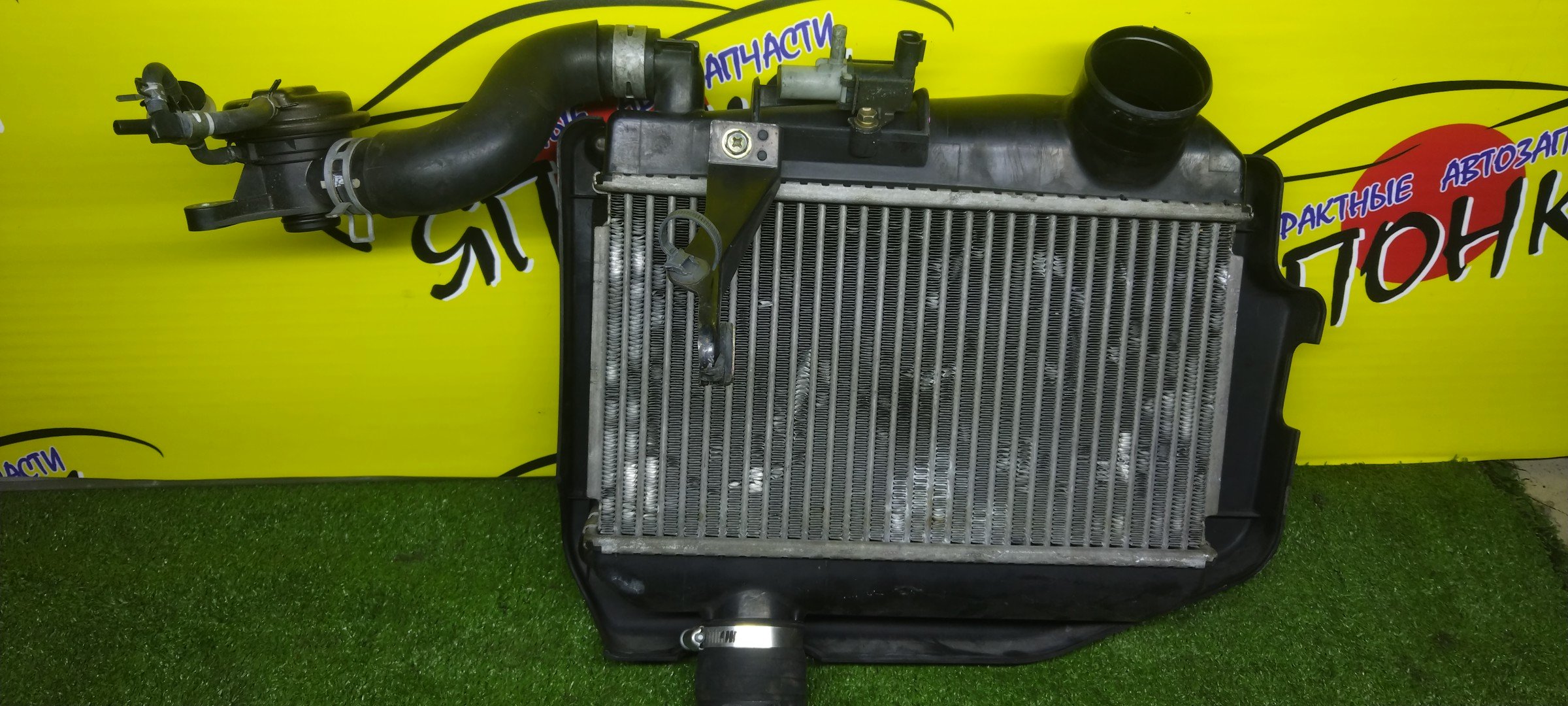 ИНТЕРКУЛЕР/TOY/CALDINA/ST246/3SGTE/1794088580