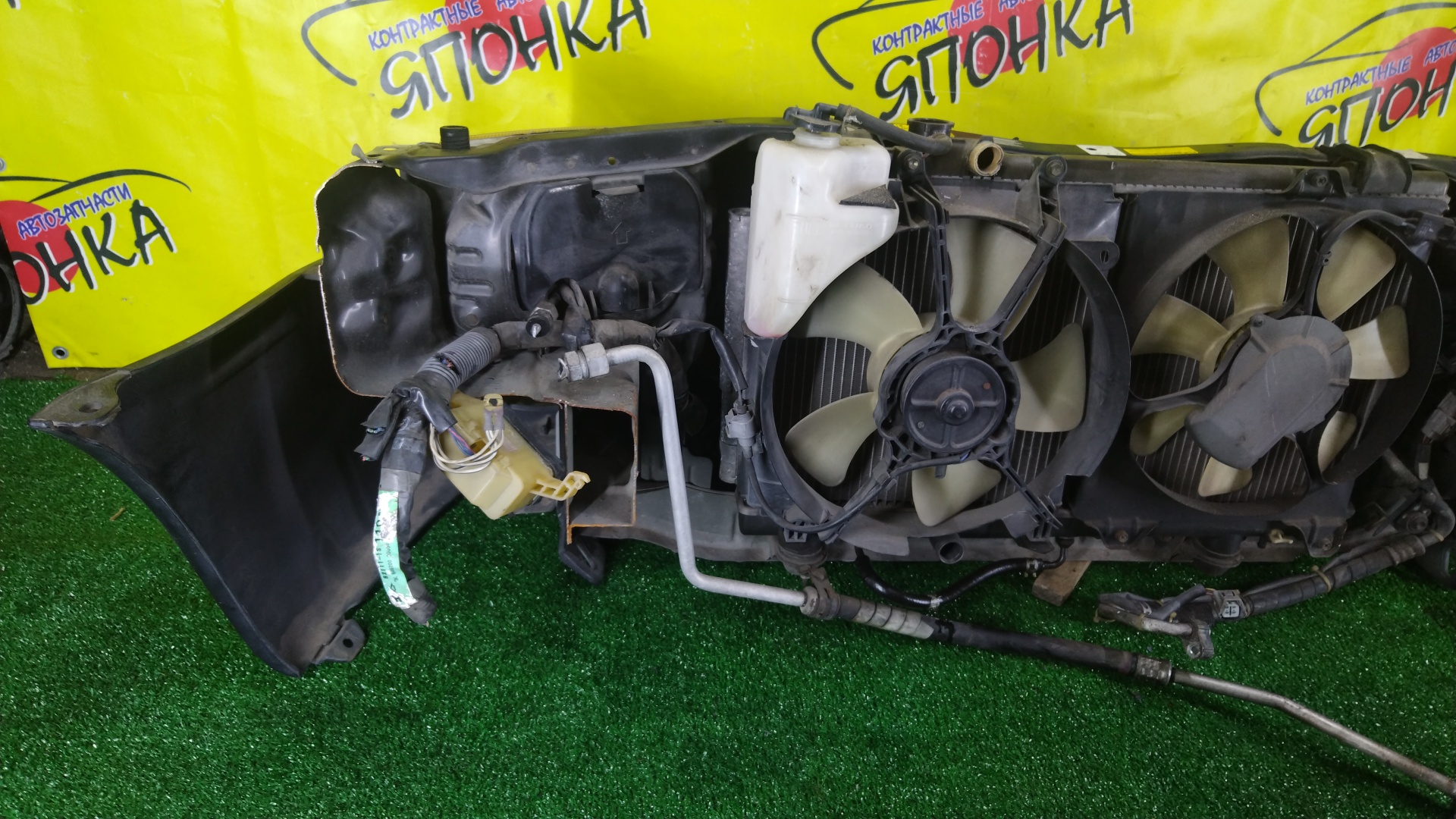 NOSECUT/TOY/CYNOS/EL54/EL52/5320116350/5320116351/5201216160/5201116170/5213116060