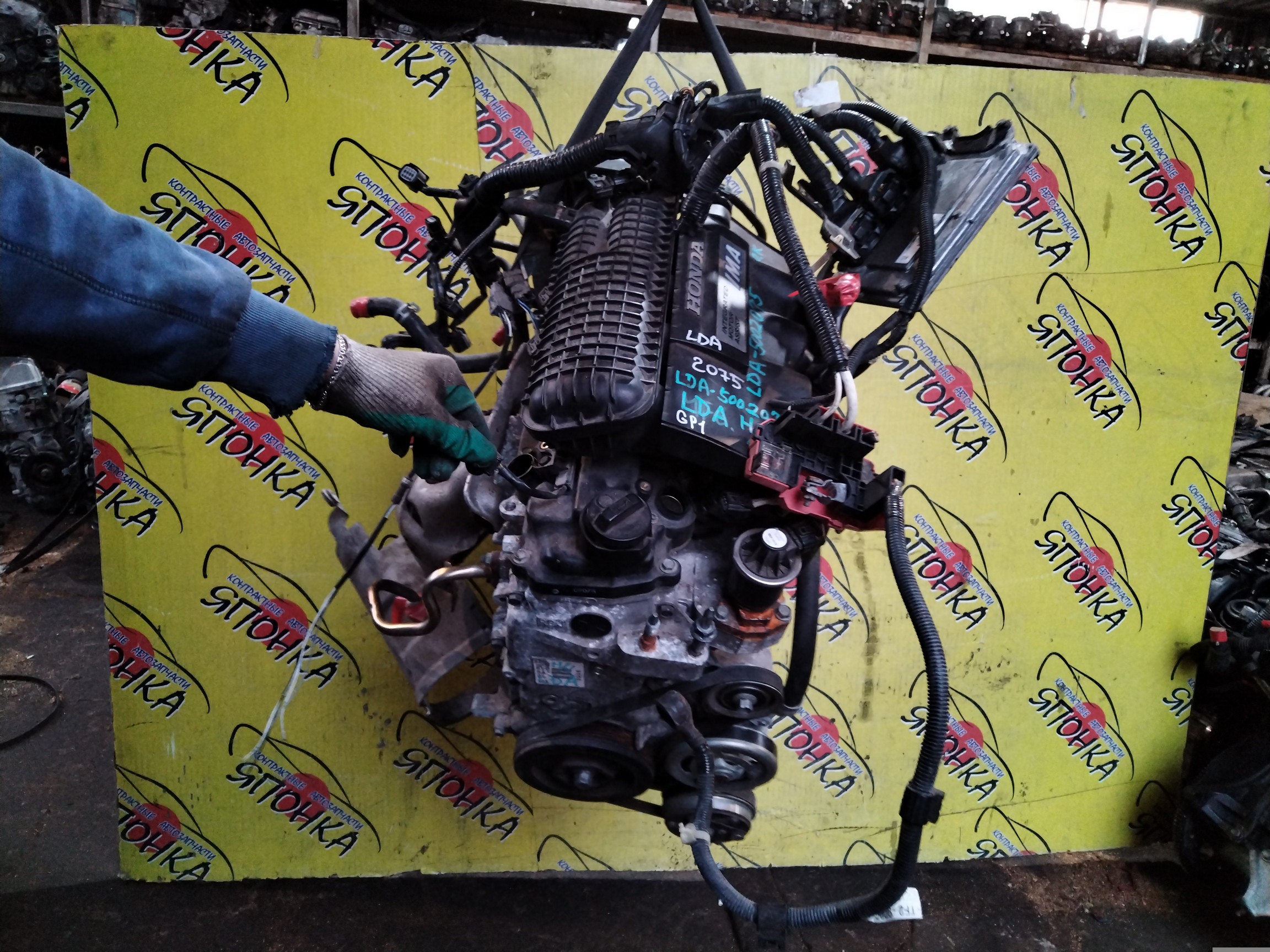 ДВС/HON/LDA/CIVIC/FIT/FIT SHUTTLE/INSIGHT/JAZZ/ES9/FD3/GP1/GP2/ZE2/ZE5/11000RBJ800