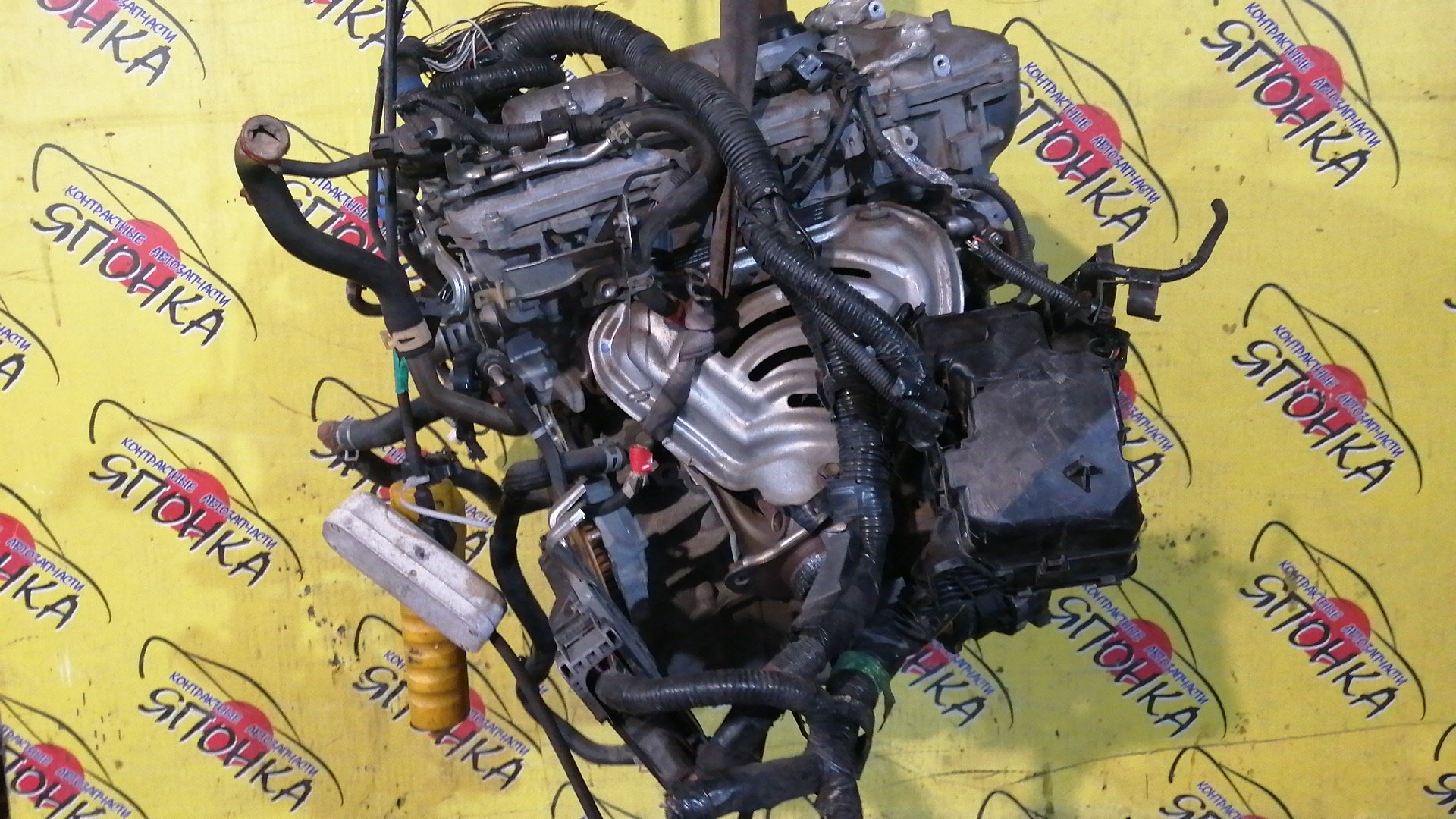 ДВС/TOY/3ZR-FE/ALLION/AVENSIS/ISIS/NOAH/PREMIO/RAV4/VOXY/WISH/ZGE21G/ZGE21R/ZGE22R/ZGE22W/ZGM11G/ZGM11W/ZRR70G/ZRR70W/ZRR75G/ZRR75W/ZRT261/ZRT272/ZRT272W/ZSA30/ZSA35/ZSA44/1900037290